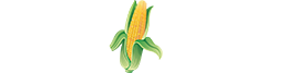 Iowa Corn Store